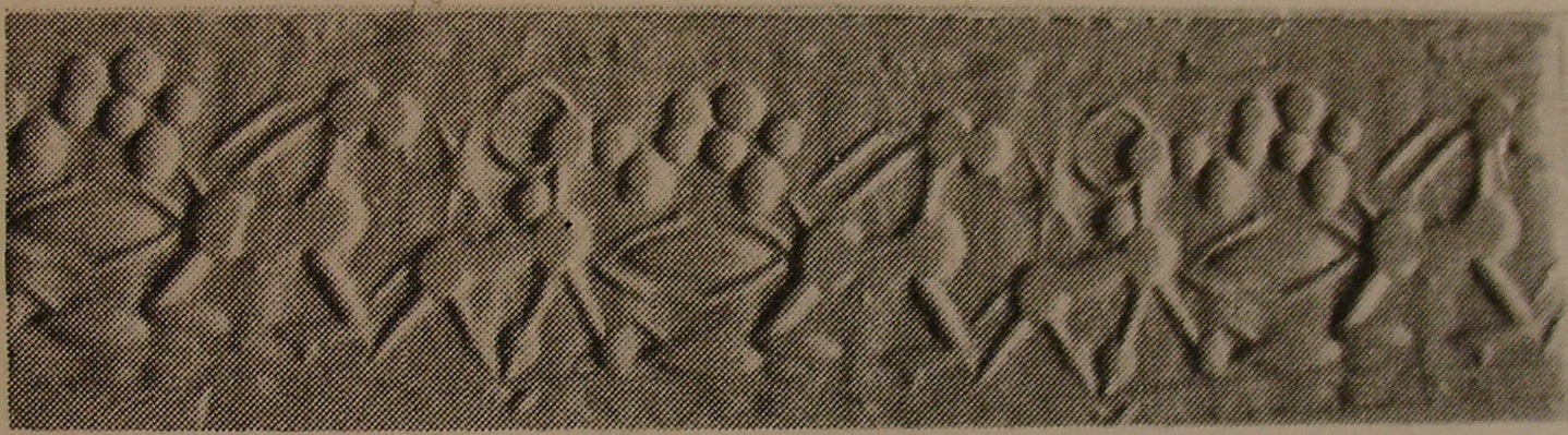 Zebu bull striding towards reclining wold goat (ibex)