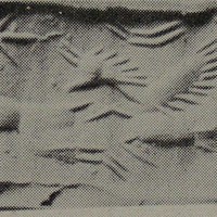 Griffin pursuing quadruped