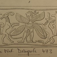 Winged hero between wild goat (ibex) and bull