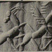 Lion-griffin pursuing wild goat (ibex)
