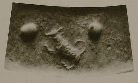 Stamp-cylinder seal: Rampant hunting dog (hound) (cylinder image) – reclining human-headed winged lion (shedu, sphinx) (stamp image)