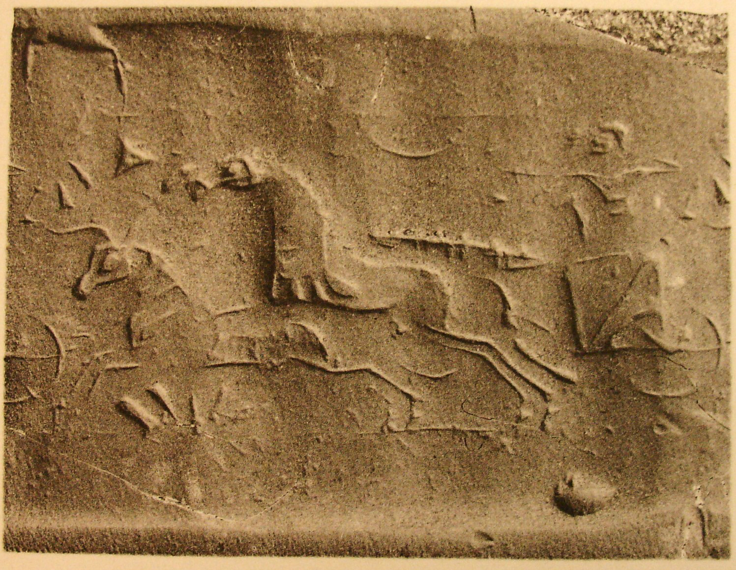 Archer hunting bull from chariot