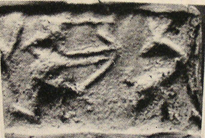 Archer hunting wild goat (ibex) or gazelle (antelope)