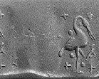 Standing waterbird