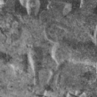 Bird-man facing prancing bull