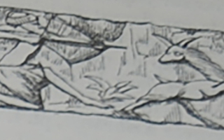 Archer hunting mouflon