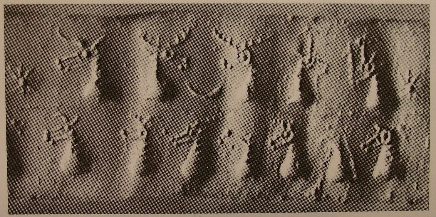 Stamp-cylinder seal: Various animal heads in two registers (cylinder image) – griffin with crescent moon and triangular pattern  (stamp image)