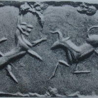 Leonine predator (lynx or hyena) attacking bull