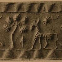 Bull striding towards tree
